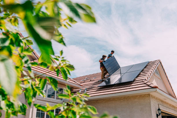 Best Roof Gutter Cleaning  in West Rancho Dominguez, CA