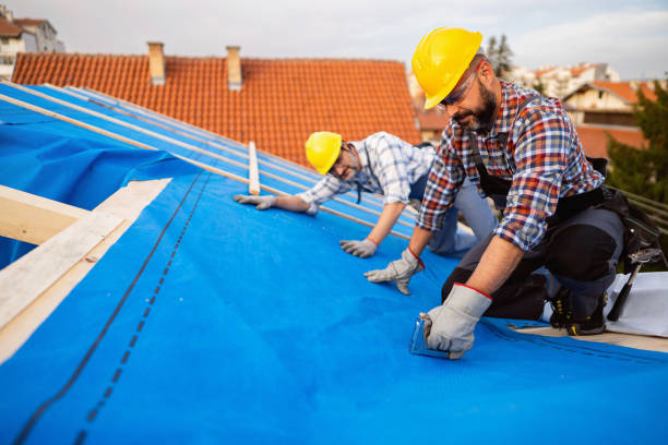 Best Gutter Installation and Roofing  in West Rancho Dominguez, CA